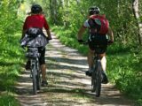 Wald-Abenteuer auf zwei Rädern: Entdecke die Top 5 Fahrräder für dein ultimatives Naturerlebnis!
