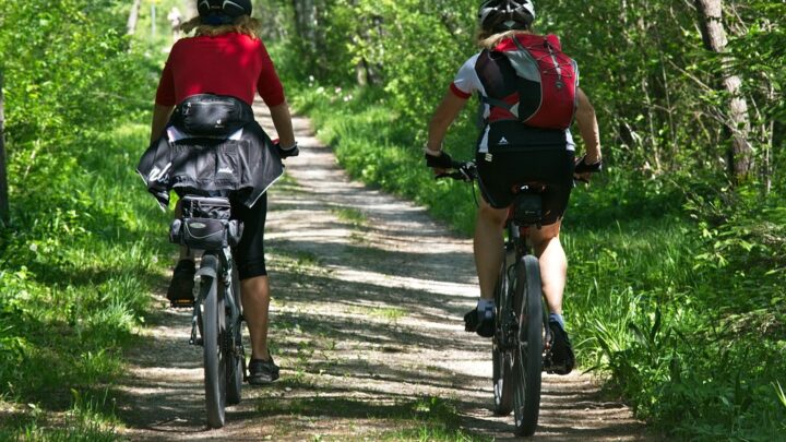Wald-Abenteuer auf zwei Rädern: Entdecke die Top 5 Fahrräder für dein ultimatives Naturerlebnis!